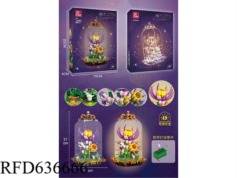 286PCS EPIPHYLLUM MICROPHYLLUM [INCLUDING LIGHT FITTINGS]