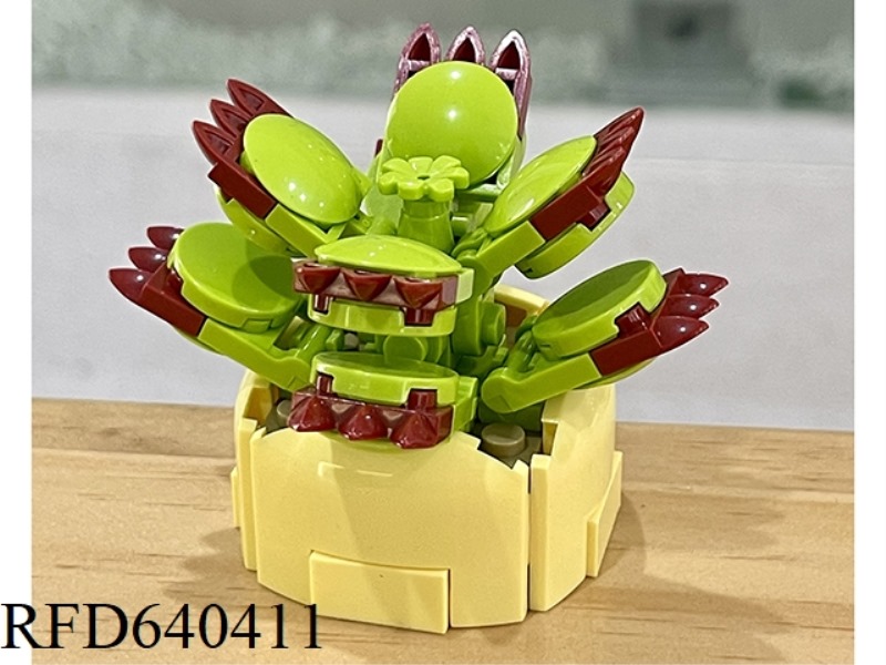 BEAR BOY 58PCS