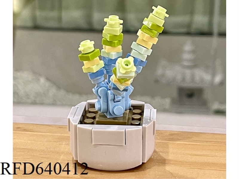 MONEY STRINGS 58PCS