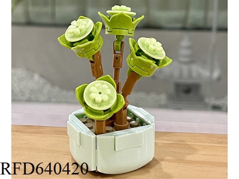 MONEY WOOD 50PCS