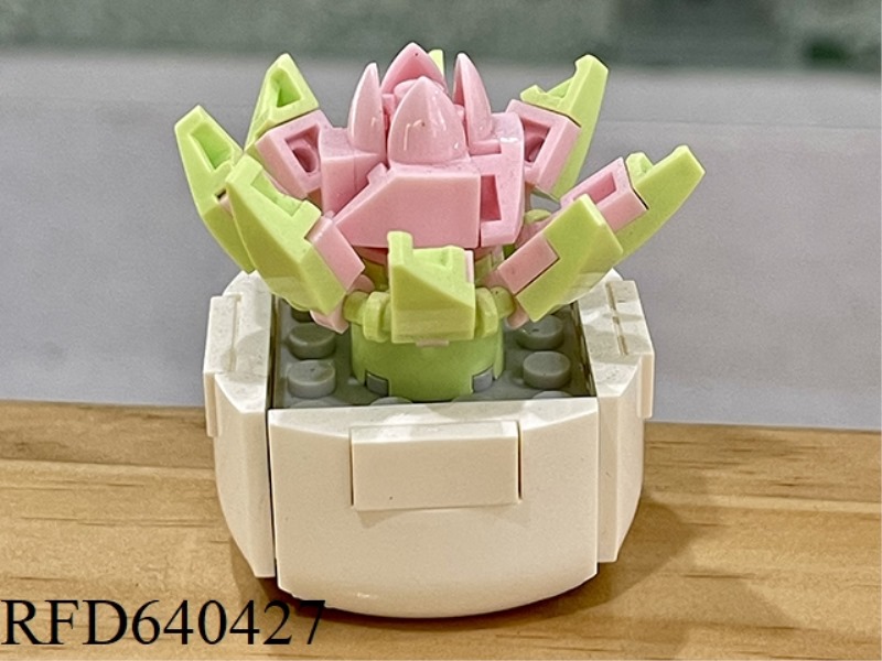 HIME MOON 43PCS