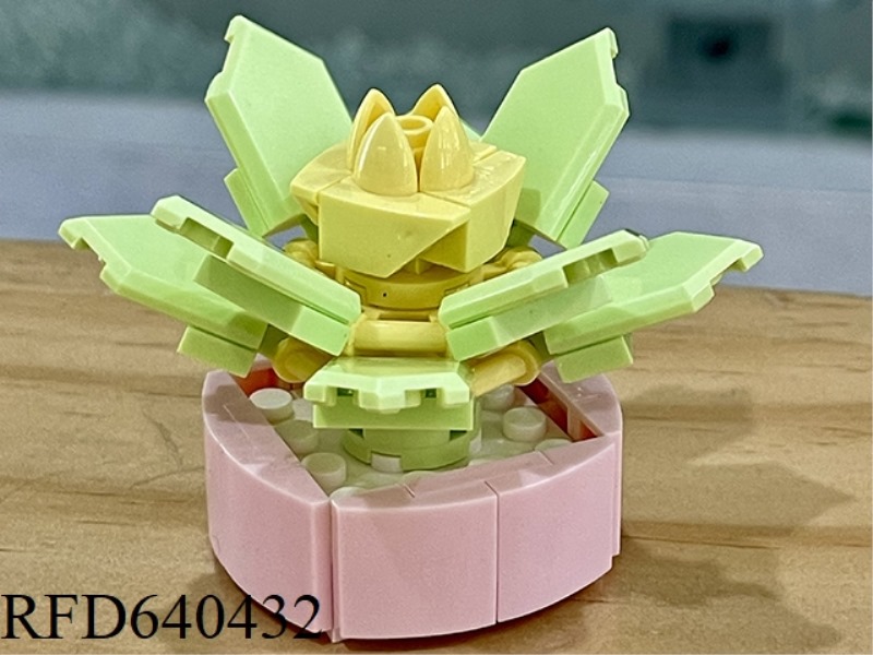 51PCS ONNOR