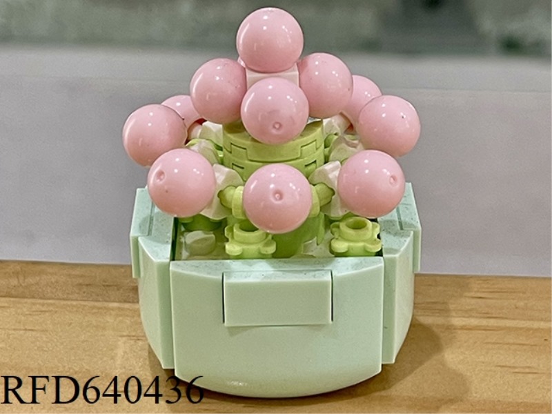 49PCS TANGYUAN CHEESE