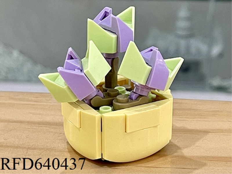 INCOMPARABLE BEAN 55PCS