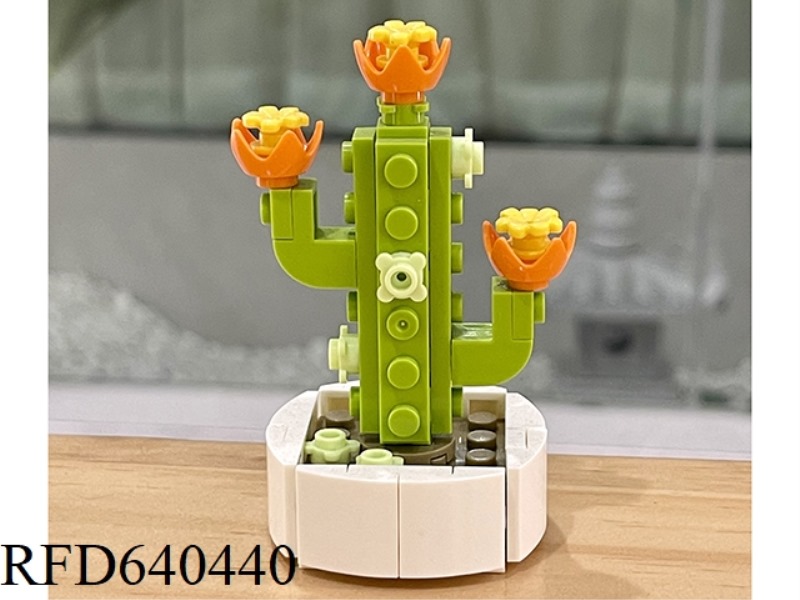 CACTUS 51PCS