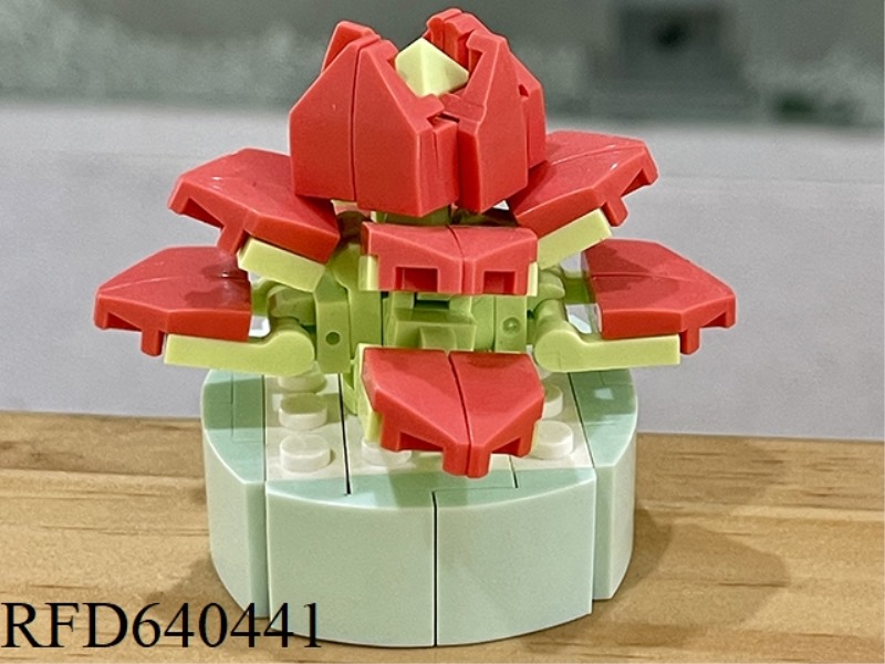 AUTUMN FIRE LOTUS 61PCS