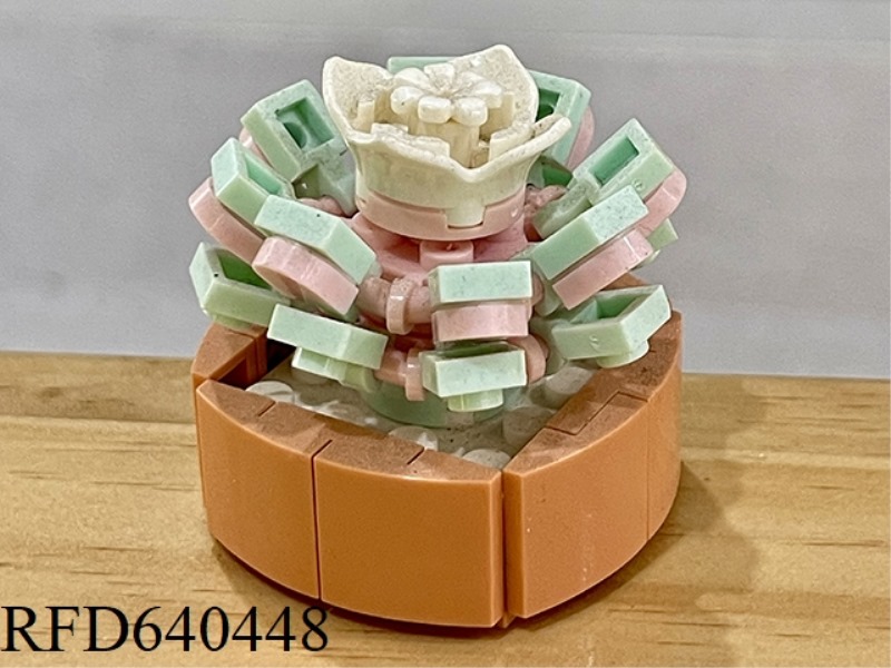 51PCS SPECIAL YULIAN