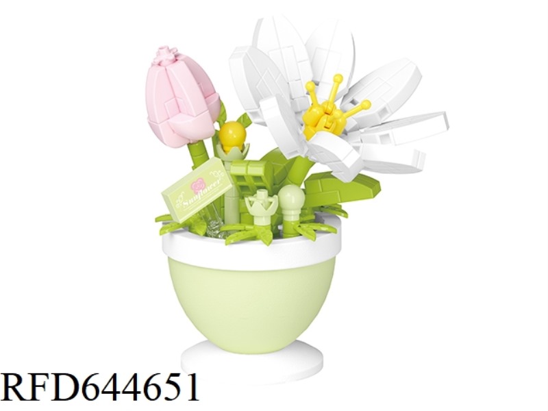 HUAYANG POTTED PLANT-GESANGHUA 198PCS
