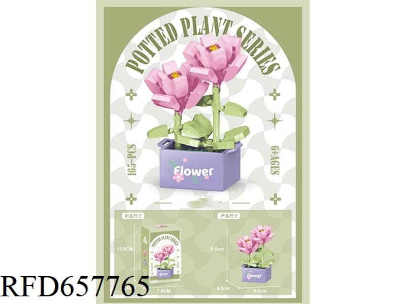 ROSE 165PCS