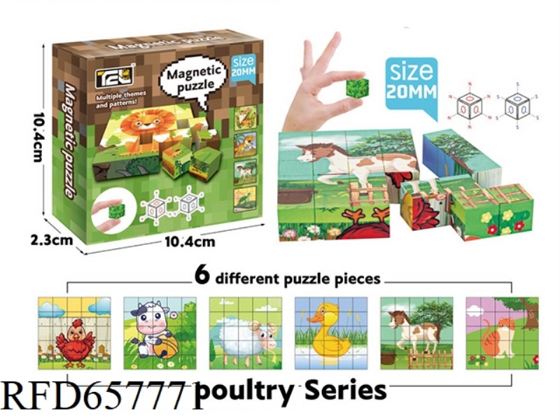 MAGNETIC BLOCK PUZZLE 25PCS