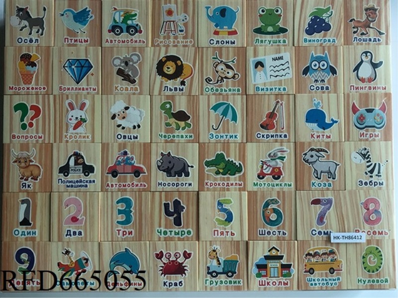WOOD GRAIN EVA SILK SCREEN PRINTING BUILDING BLOCKS (RUSSIAN VERSION OF ENCYCLOPEDIA MAP RECOGNITION