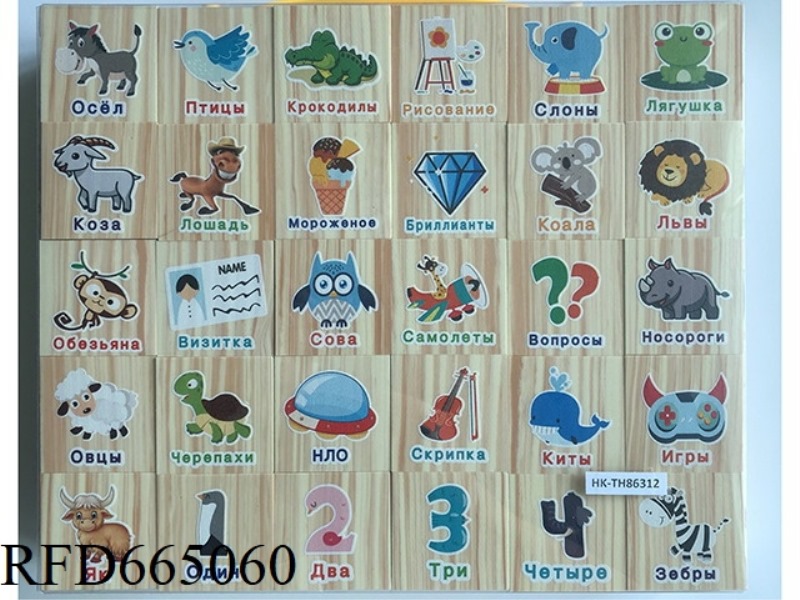 WOOD GRAIN EVA SILK SCREEN PRINTING BUILDING BLOCKS (RUSSIAN VERSION OF ENCYCLOPEDIA MAP RECOGNITION