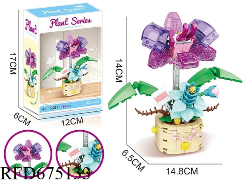 153PCS PHALAENOPSIS BUILDING BLOCKS