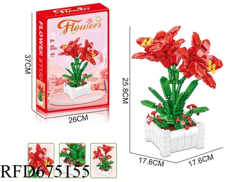 565PCS HIPPEASTRUM BUILDING BLOCKS