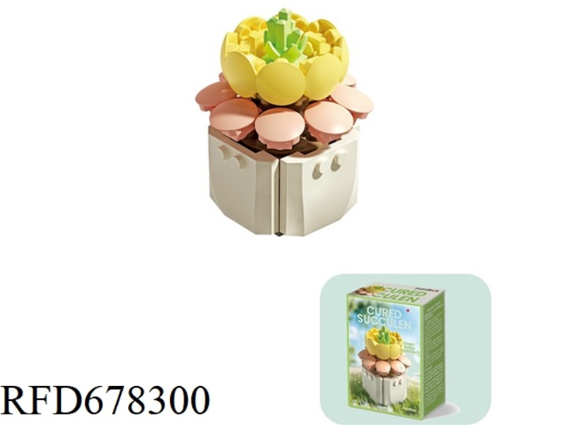 73P SEEDS HOLD LOTUS FLOWERS