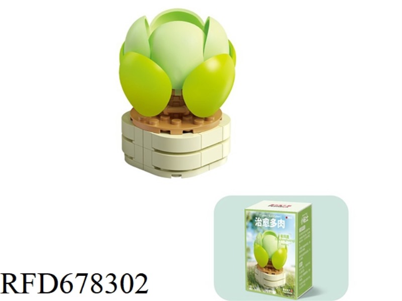 DOMESTIC SALES 76P SMALL SUCCULENT - GREEN PHOENIX
