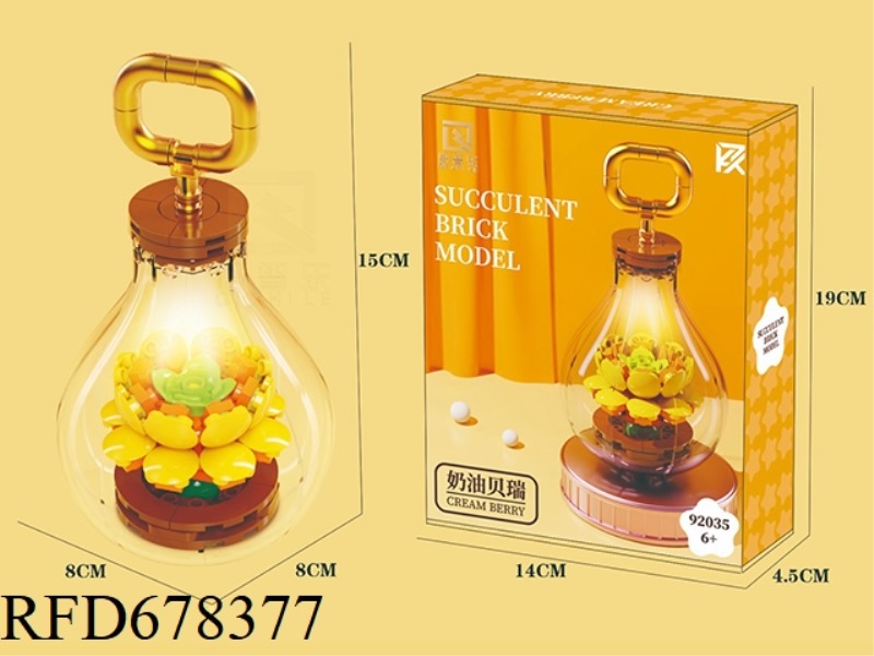 BULB SUCCULENT - CREAM BERRY