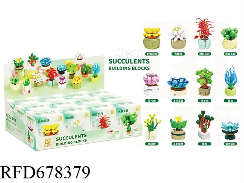 12 TYPES OF SUCCULENTS