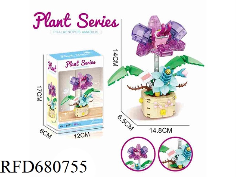 BUILDING BLOCKS PHALAENOPSIS 153PCS- FLOWER SERIES