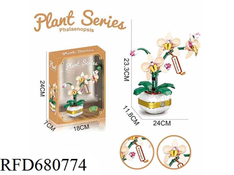 PHALAENOPSIS 323PCS- FLOWER SERIES