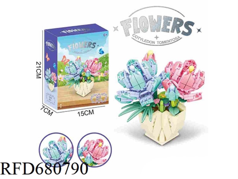 XIONG TONGZI POTTED 293PCS- FLOWER SERIES