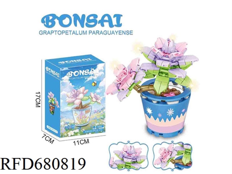 MEAT BUILDING BLOCKS FLOWER SHOP 173PCS- FLOWER SERIES