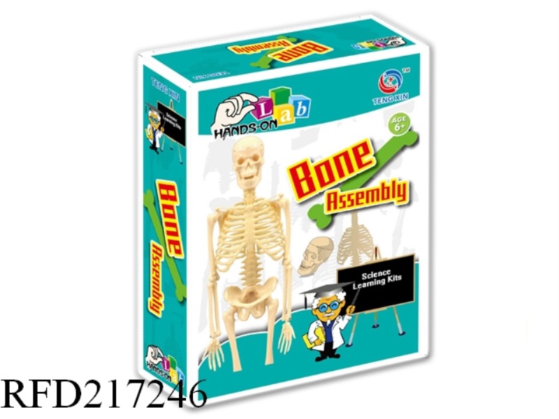 HANDWORK INTELLIGENCE SIMULATION MODEL OF HUMAN BODY