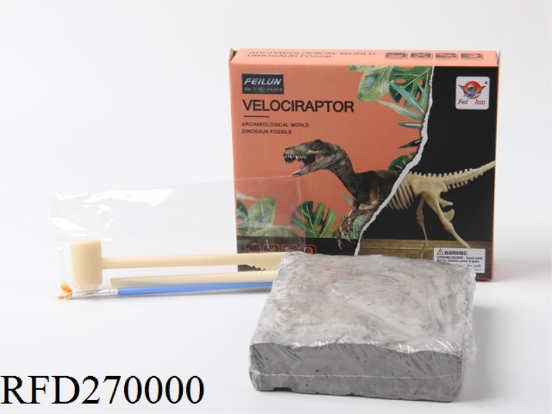 DINOSAUR FOSSIL COLLECTION - ARCHAEOLOGICAL EXCAVATION (RAPTORS)