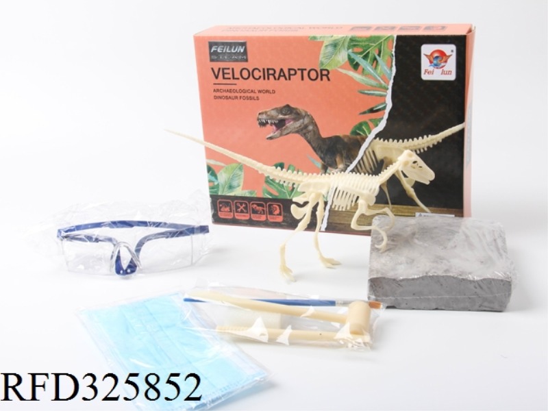 DINOSAUR FOSSIL COLLECTION - ARCHAEOLOGICAL EXCAVATION (RAPTORS)