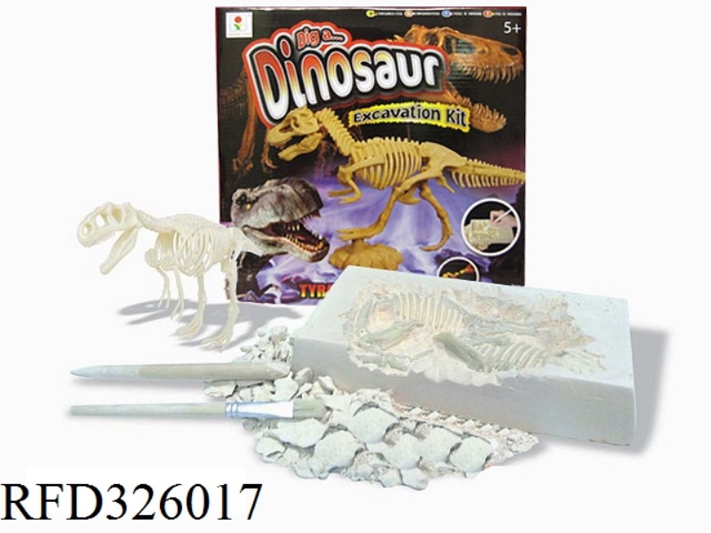 DINOSAUR FOSSIL COLLECTION - ARCHAEOLOGICAL EXCAVATION
