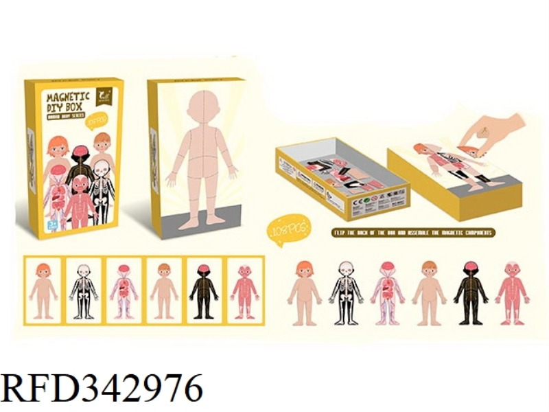 MAGNETIC DRESS UP CHARACTER DRESS UP (HUMAN BODY)