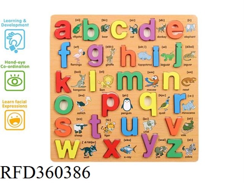 PUZZLE SMALL LETTER LEARNING BOARD (BIG MONEY)