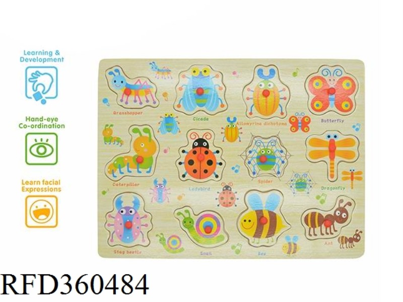 CARTOON INSECT LEARNING BOARD (PLASTIC NAILS)