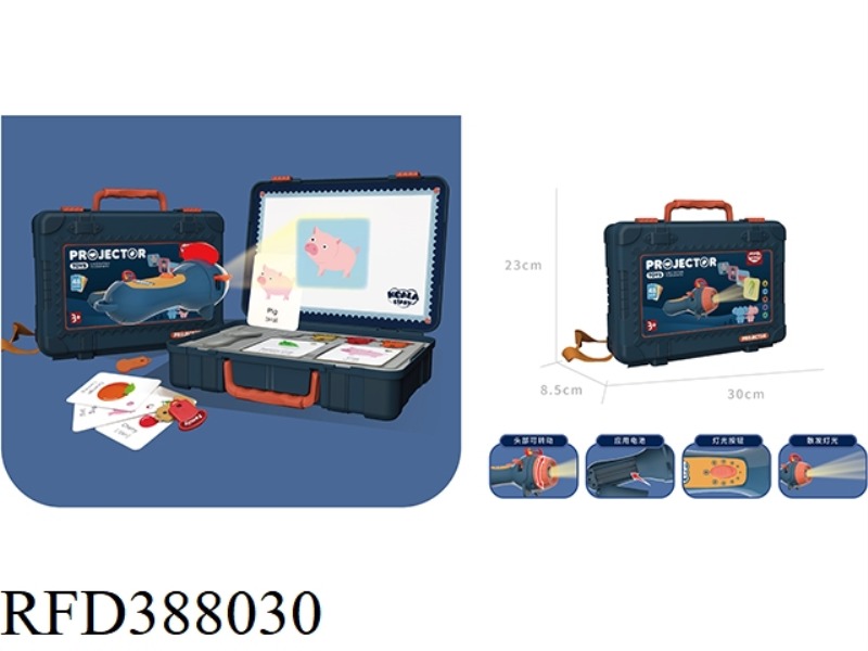 PROJECTION SCHOOL BAG (BLUE)