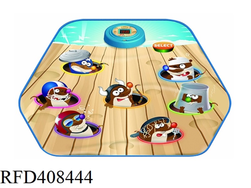 HAMSTER GAME BLANKET