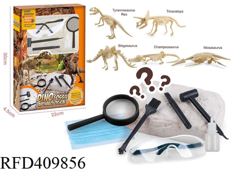 DINOSAUR ARCHAEOLOGY