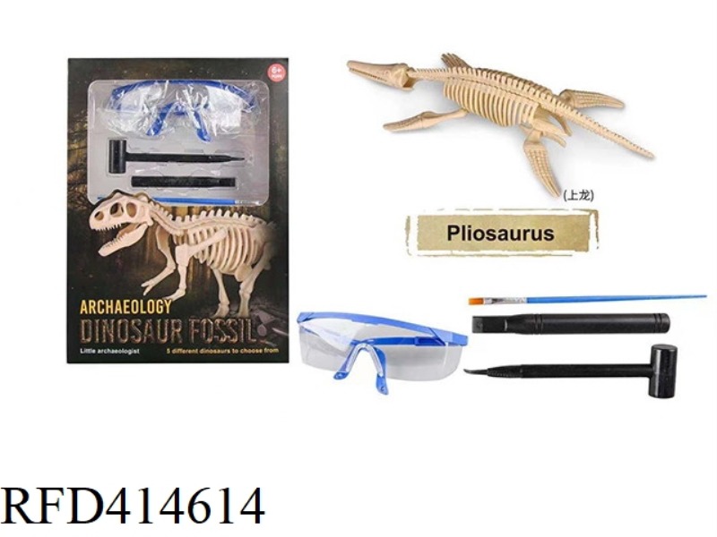 ARCHAEOLOGICAL DINOSAUR FOSSIL SERIES SHANGLONG WITH GLASSES