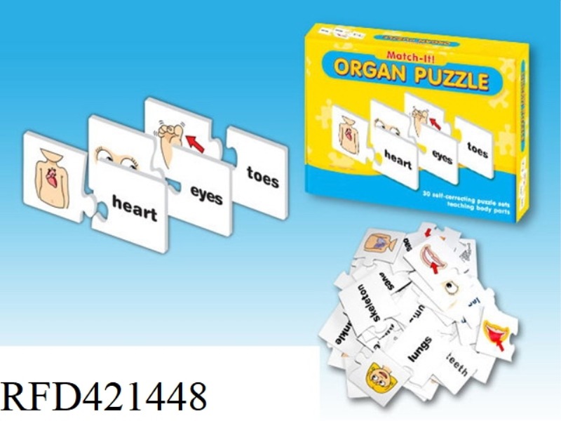 ORGAN JIGSAW