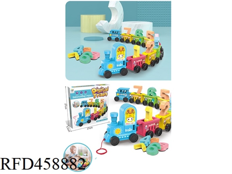 PUZZLE DIGITAL COGNITIVE ENLIGHTENMENT TRAIN