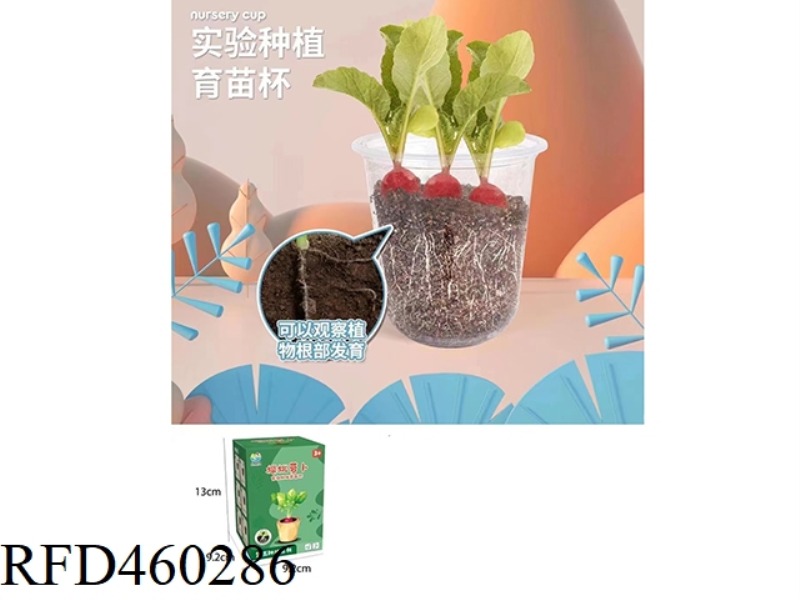 CHERRY RADISH PLANTING CUPS