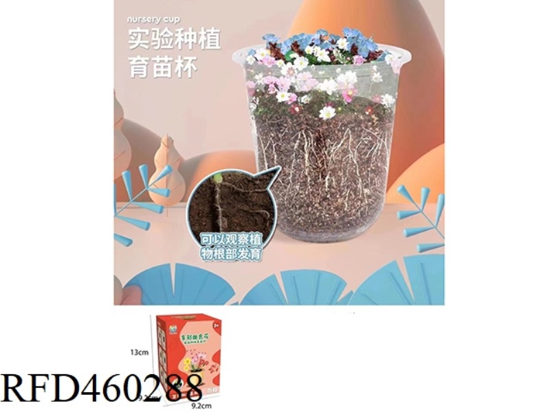 COLORFUL COMBINATION FLOWER SEEDLING CUP