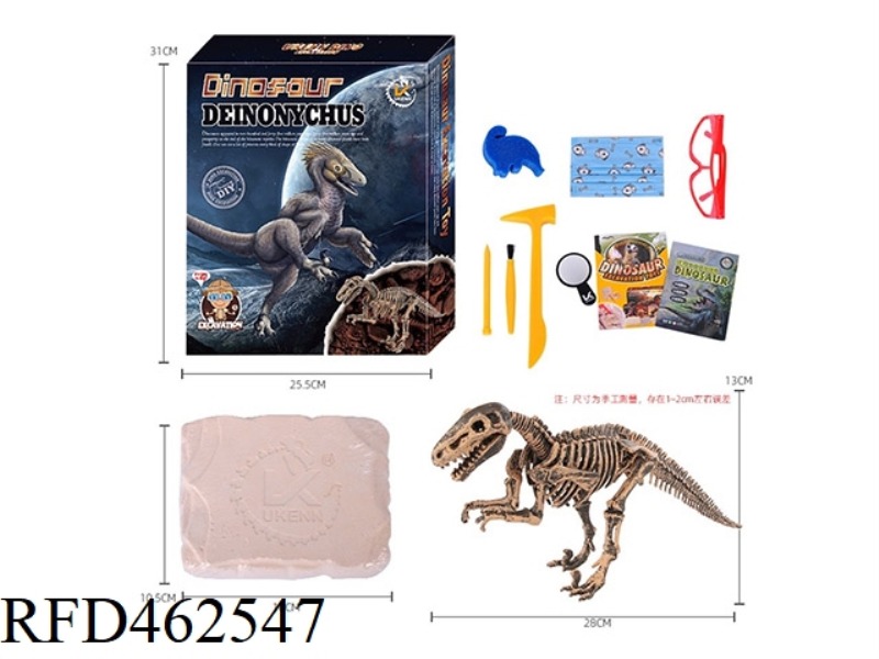 (DEINONYCHUS) DYNAMIC CLASSIC DINOSAUR SKELETON ARCHAEOLOGY