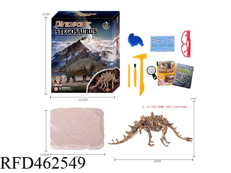 (STEGOSAURUS) DYNAMIC CLASSIC DINOSAUR SKELETON ARCHAEOLOGY