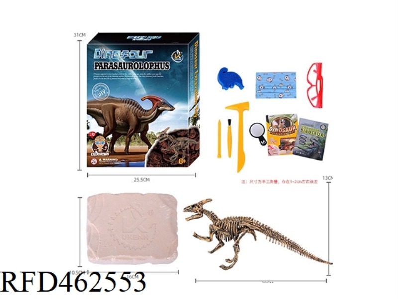 (PARACTENOSAURUS) DYNAMIC CLASSIC DINOSAUR SKELETON ARCHAEOLOGY