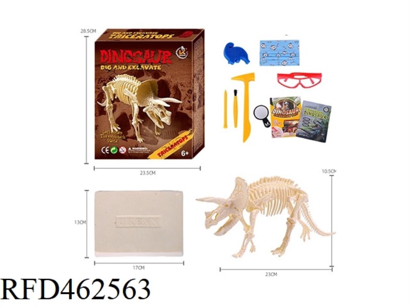 TRICERATOPS-LARGE ASSEMBLED ARCHAEOLOGY