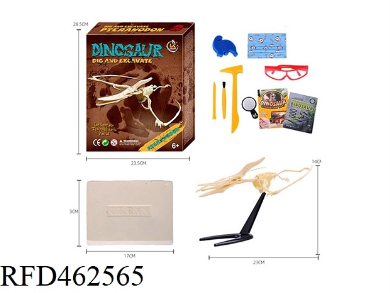 PTEROSAUR-LARGE ASSEMBLED ARCHAEOLOGY