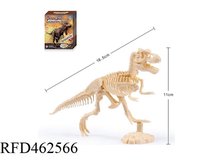 TYRANNOSAURUS REX-MEDIUM ASSEMBLED ARCHAEOLOGY