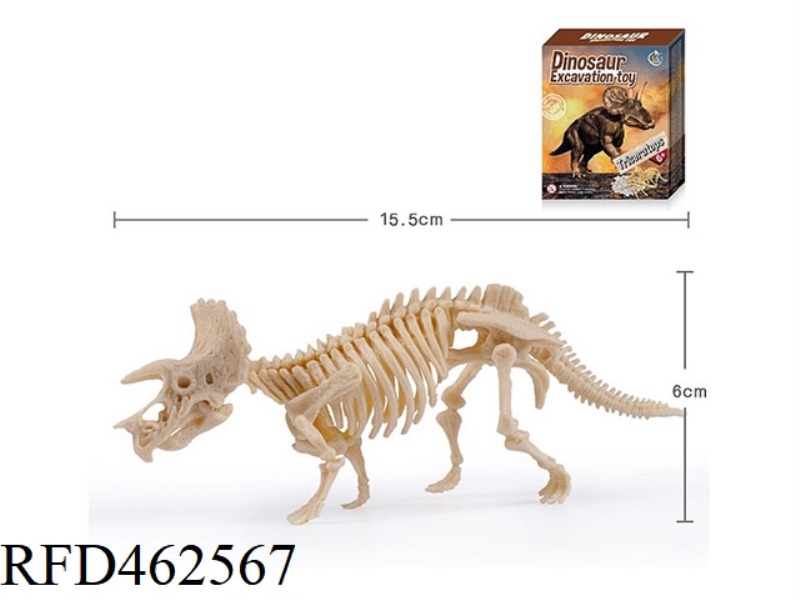 TRICERATOPS-MEDIUM ASSEMBLED ARCHAEOLOGY