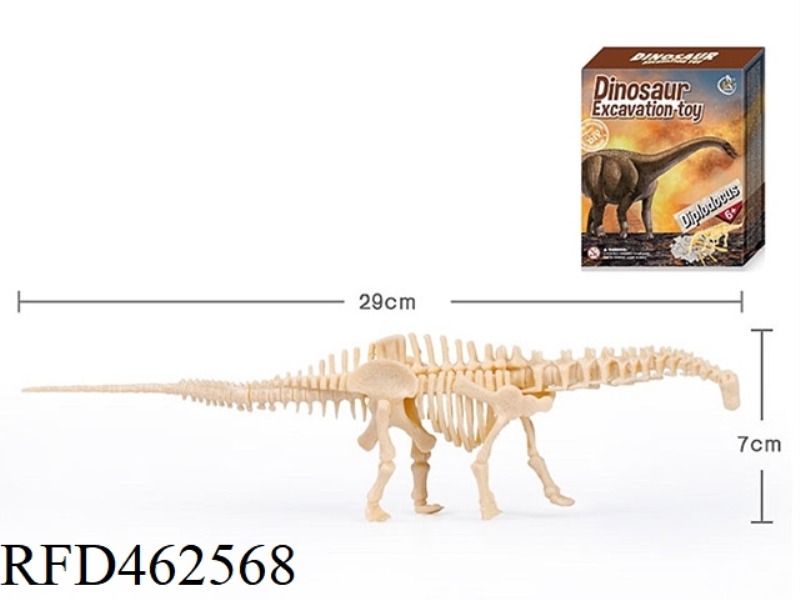 DIPLODOCUS-MEDIUM ASSEMBLED ARCHAEOLOGY