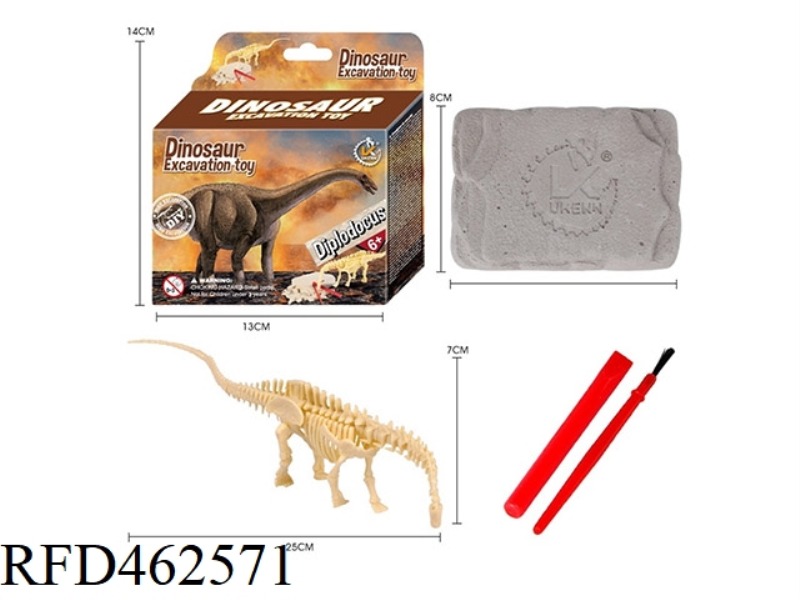 DIPLODOCUS-MEDIUM AND SMALL ASSEMBLED ARCHAEOLOGY
